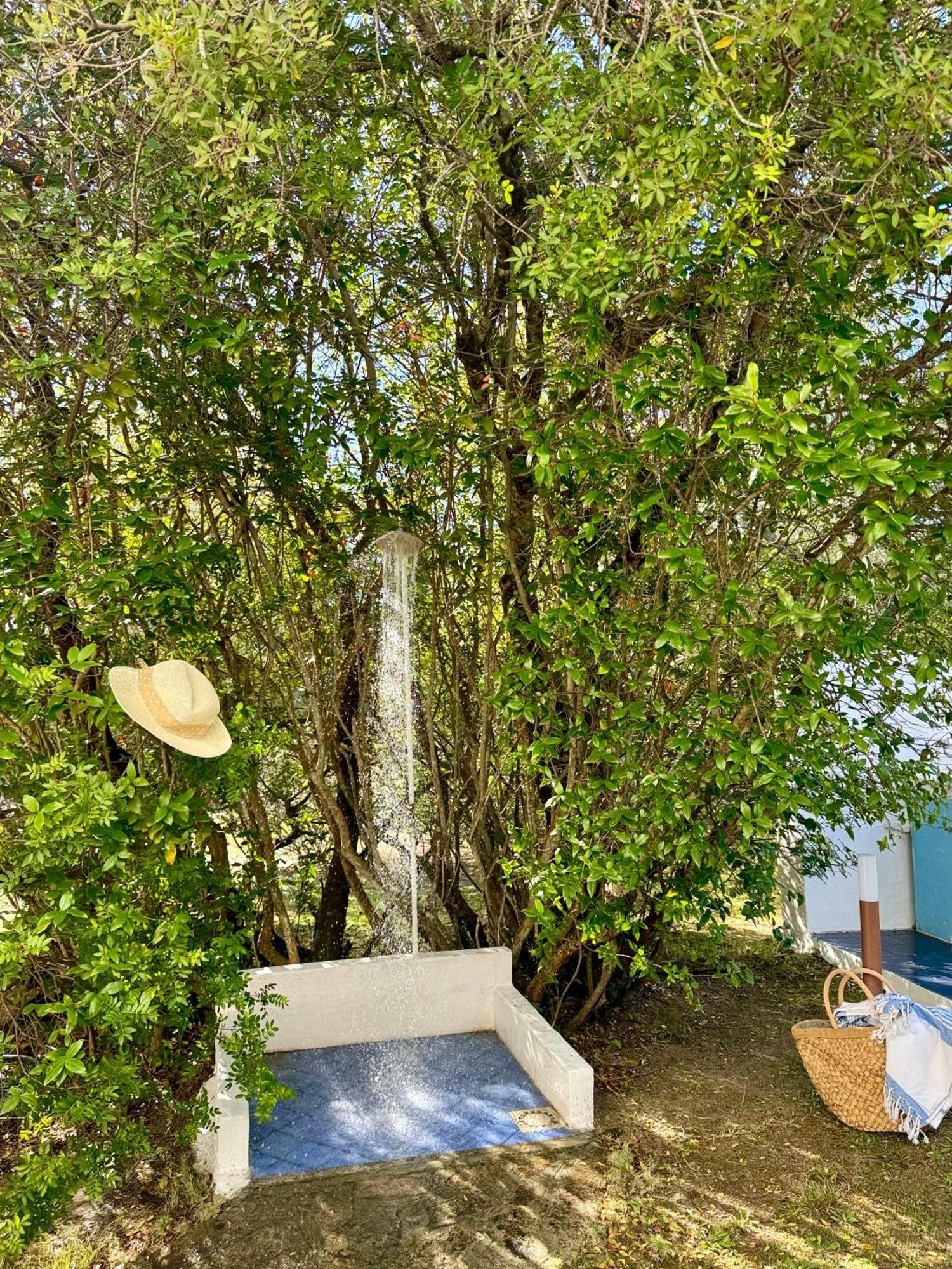 Garden Retreat - Homey Experience أولبيا المظهر الخارجي الصورة