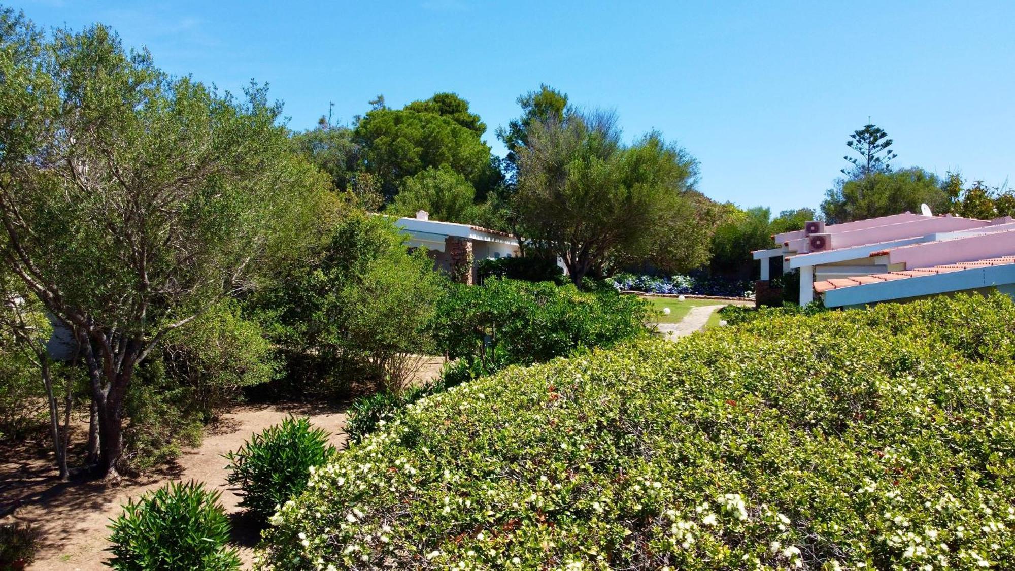 Garden Retreat - Homey Experience أولبيا المظهر الخارجي الصورة